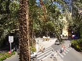 Свежее фото